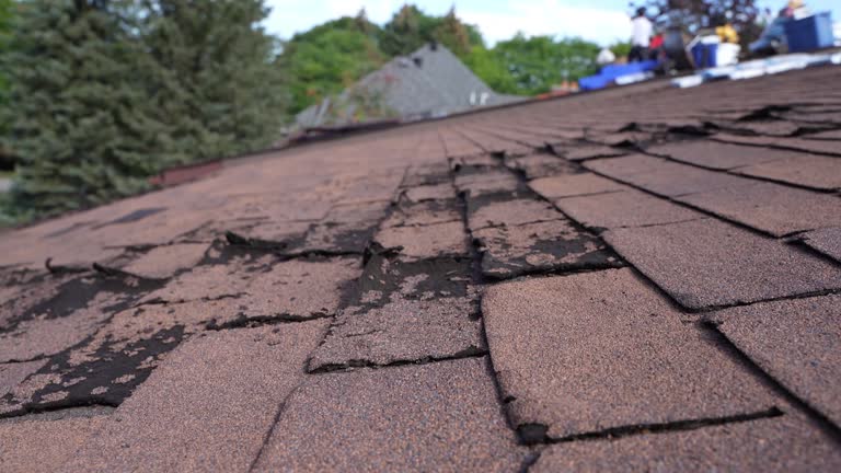 Best Commercial Roofing Services  in Eagar, AZ