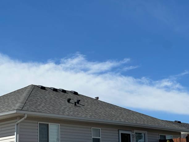 Best Skylight Installation and Repair  in Eagar, AZ